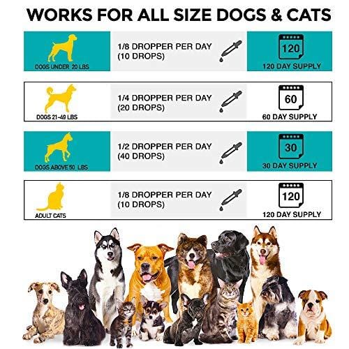 Organic Hemp Oil for Dogs & Cats - 2000mg - Premium Hemp Extract - Anxiety Relief for Dogs - Grown & Made in USA - Omega 3, 6 & 9 - Supports Hip & Joint Health - Natural Relief for Pain