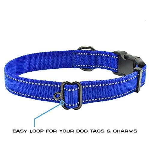 Max and Neo NEO Nylon Buckle Reflective Dog Collar - We Donate a Collar to a Dog Rescue for Every Collar Sold (Medium, RED)