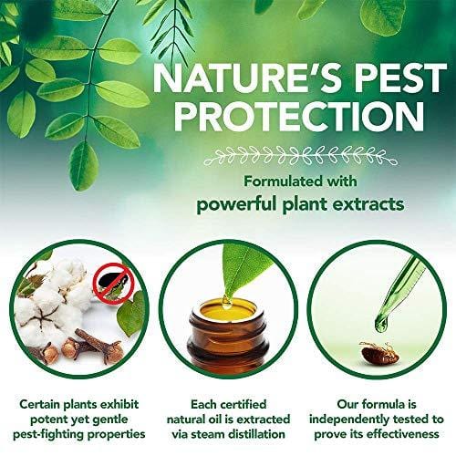 Vet's Best Flea & Tick Shampoo for Cats | Premium Shampoo & Cat Flea Treatment | 12 oz