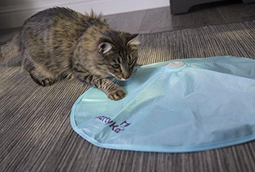 SmartyKat Hot Pursuit Cat Toy Concealed Motion Toy