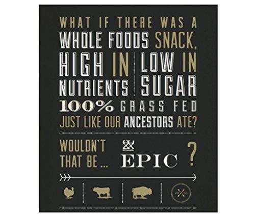 Epic Bars Variety 12 Pack - 100% Animal-Based Whole Protein, Best Kind of Jerky, Perfect For Paleo (Beef, Turkey, Salmon, Chicken, Bison, Lamb, Wild Boar) ...
