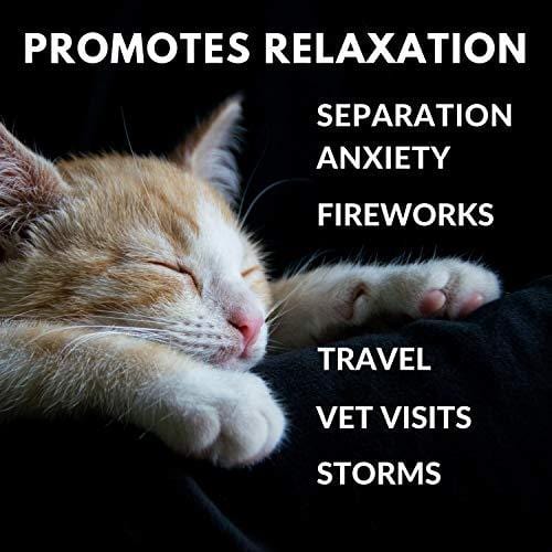 Hemp, Chamomile & Valerian RESTFUL PET Oil - Hemp Oil Supplement for Dogs & Cats Anxiety Relief - Natural, Calming Oil Promotes Relaxation & Stress Reduction to Calm Your Anxious Dog or Cat - 2oz