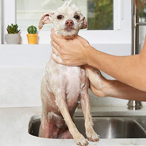 Natural Oatmeal Dog-Shampoo and Conditioner - 20oz Medicated Clinical Vet Formula Wash for All Pets Puppy & Cats - Made with Aloe Vera for Relieving Dry Itchy Skin