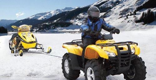 Steadymate 15543 Snowmobile Tow Strap