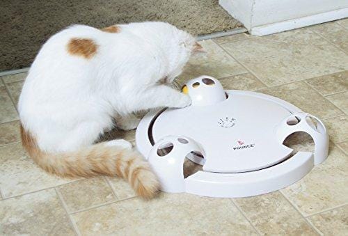 PetSafe Pounce Cat Toy, Interactive Automatic Toy for Cat or Kitten, Adjustable Electronic Battery Operated Toy