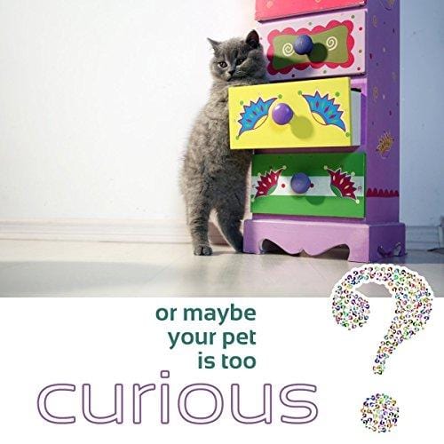 Baby Proofing Safety Cabinet Locks - Child Proof Latches for Dresser Drawer Cupboard Doors Closet Oven Refrigerator Fridge - Adjustable Childproof Straps by Oxlay - Black - 6 Pcs