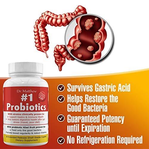 Best Probiotics for Women Men & Teens. Lactobacillus Rhamnosus, Plantarum, Gasseri & Reuteri. 15 Strains, 15 Billion. IBS, Gas and Bloating Relief. Digestive Support, Immune System Booster.