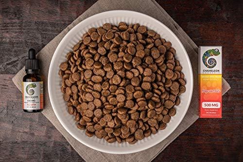 Hemp Extract Oil for Dog and Cats - 500mg - For Separation Anxiety | Pain Relief | Calming | Joint Support | Organic | Non-GMO | Made in the USA - 30mL