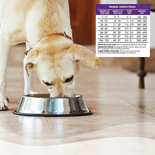 Wellness Complete Health Natural Dry Dog Food, Chicken & Oatmeal, 30-Pound Bag
