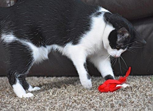 OurPets Play-N-Squeak Real Birds Fly Over Interactive Cat Toy
