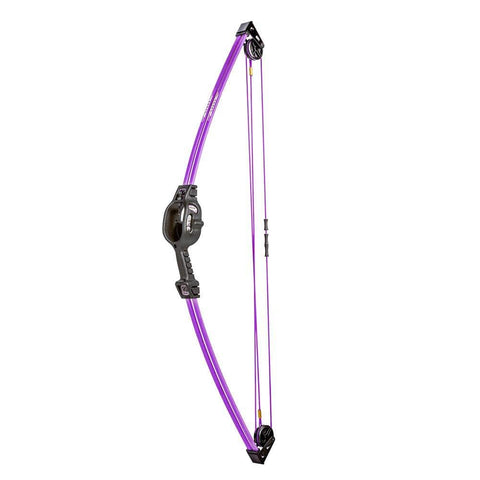 Bear Archery Spark Youth Bow Set Includes 2 Arrows, Armguard, Quiver, and Recommended for Ages 5 to 10, Flo Purple