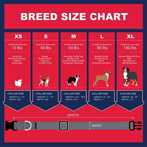 American Flag Dog Collar in 5 Different Sizes Classic (Large)