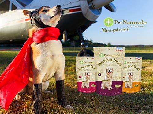 Pet Naturals Of Vermont - Superfood Treats For Dogs, Homestyle Chicken Flavor, 100+ Bite-Sized Chews, Organic Ingredients