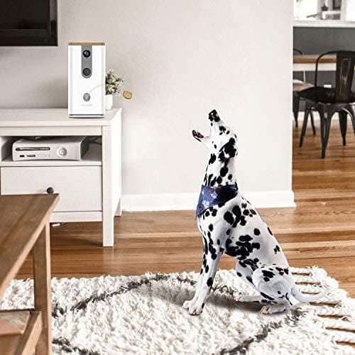 Vbroad Smart Pet Camera Treat Dispenser, 2.4GHz WiFi Remote Camera Monitor 720P HD Night Vision Video with 2-Way Audio Designed for Dogs and Cats, Home Safety Pet Monitor (Android/iOS)