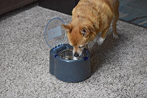 Our Pets Smart Link Intelligent Pet Care Selective Feeder Automatic Pet Bowl