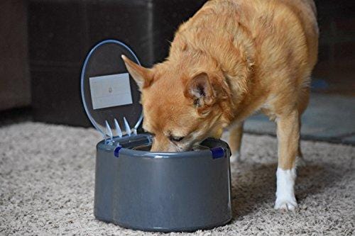 Our Pets Smart Link Intelligent Pet Care Selective Feeder Automatic Pet Bowl