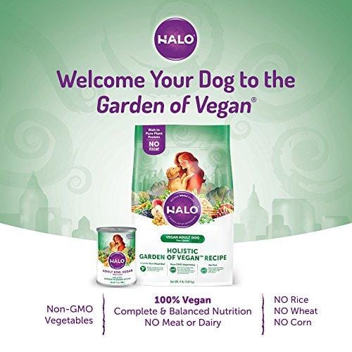 Halo Vegan Grain Free Natural Crunchy Dog Treats, Garden of Vegan Peanut N' Pumpkin Recipe, 8-Ounce Bag