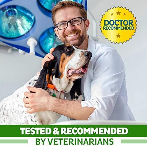 Organic Hemp Oil for Dogs & Cats - 5000mg - Pet Hemp Oil - Separation Anxiety & Stress Relief - Supports Mobility, Hip & Joint, Immune System - Calming Treats for Dogs - Made in USA