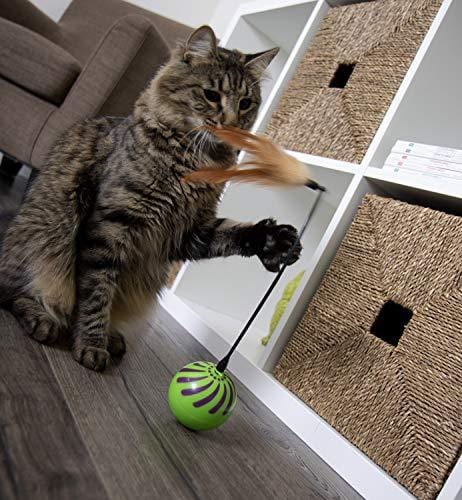 SmartyKat Feather Whirl Electronic Motion Cat Toy, As Seen On TV