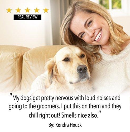 NatulabUSA - Hemp Oil For Dogs & Pets - Fast Results - Dog Anxiety & Stress Relief - Dog Arthritis & Joint Health - APPLY TO TREATS - Separation Anxiety Relief - Organic Hemp Seed Oil - 250mg - 1oz