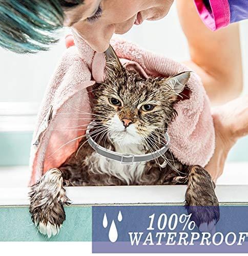 Flea and Tick Collar Prevention for Dogs & Cats Control for 8 Months with Natural Ingredients-Adjustable Waterproof Design