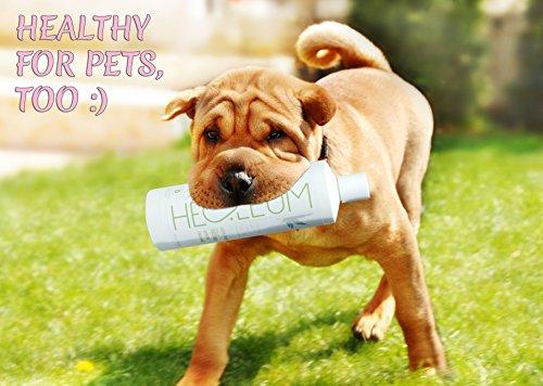 Hemp Oil - 100% Pure Hemp Seed Oil Cold Pressed Organic. Sourced From Canada. Provides Omega 3 and 6 EFA's. Anti Inflammatory Benefits Provide Pain Relief (16 OZ)