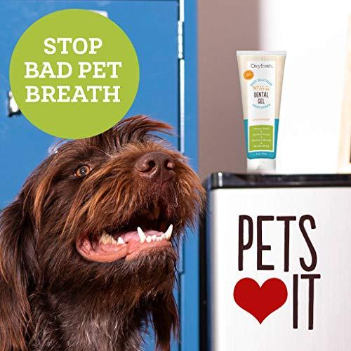 Oxyfresh Pet Toothpaste For Dogs & Cats- Professional formula - Fresh Breath & Healthy Teeth & Gums for Dogs and Cats - Fast-acting Dental Care Pet Gel - Cleans Teeth, Removes Plaque & Freshens Breath