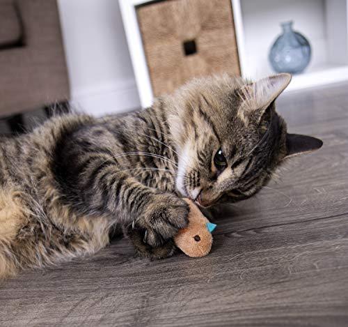 SmartyKat Chickadee Chirp Cat Toy with Bird Sounds(shapes/colors may vary)