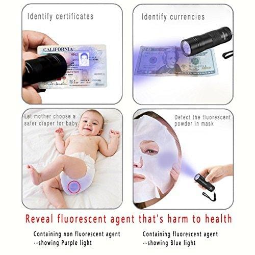 Black Light UV Flashlight UV Light,Vansky Blacklight 12 LED Ultraviolet Urine Detector For Dog/Cat/Pet Urine & Dry Stains and Bed Bug On Carpets/Rugs/Floor,Matching with Pet Odor Eliminator