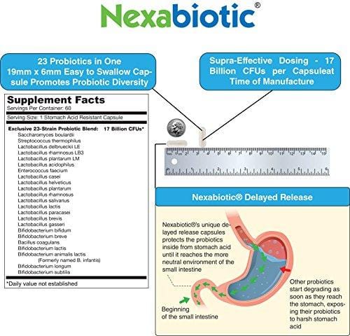 DrFormulas' Best Probiotics for Women & Men | Nexabiotic Multi Probiotic with Saccharomyces Boulardii, Lactobacillus Acidophilus, B. infantis, Prebiotic 60 Capsules (Not Pearls)