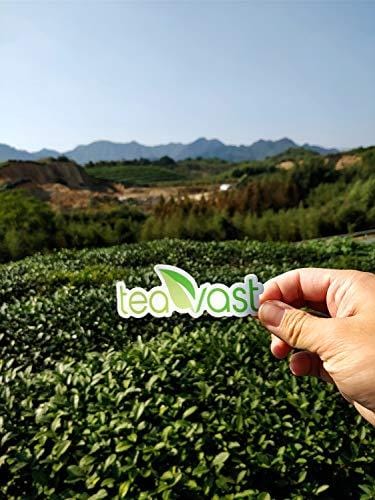 Matcha Green Tea Powder Organic, Vegan, Iced Latte, Smoothie, Iced Tea, Ice Cream, Baking, Cold Brew and Dessert, Sugar Free, Recipes 40g/1.41oz
