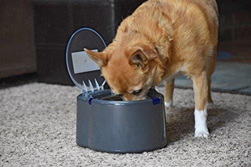 Our Pets Smart Link Intelligent Pet Care Selective Feeder Automatic Pet Bowl