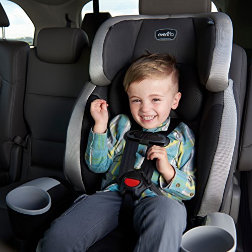 Evenflo Maestro Sport Harness Booster Car Seat, Granite