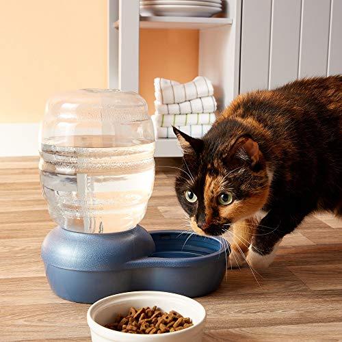 Petmate Replendish Gravity Waterer with Microban Cat and Dog Water Dispenser 4 Sizes