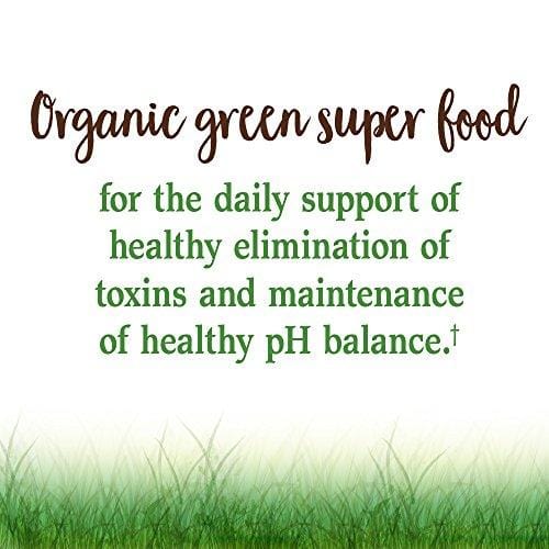Garden of Life Raw Organic Perfect Food Green Superfood Juiced Greens Powder - Chocolate, 60 Servings - Non-GMO, Gluten Free, Vegan Whole Food Dietary Supplement, Plus Probiotics & Enzymes