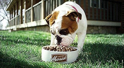 Merrick Grain Free Dry Dog Food Recipes