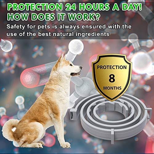Flea and Tick Prevention Collar One Size Fits All Dogs and Cats Flea and Tick Control with Adjustable Design