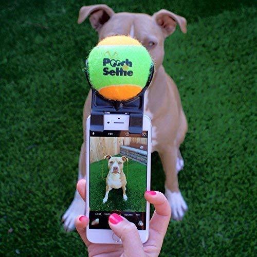 Pooch Selfie: The Original Dog Selfie Stick (AS SEEN ON Shark Tank)