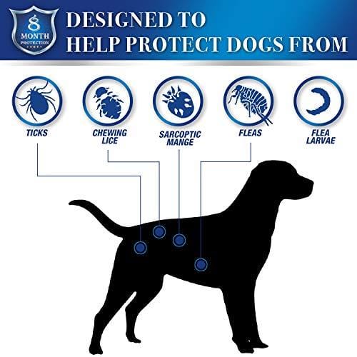 Xawy Flea & Tick Collar for Large & Small Dogs Hypoallergenic & Waterproof Tick Prevention & Flea Control Dog Collar for 8 Months of Protection