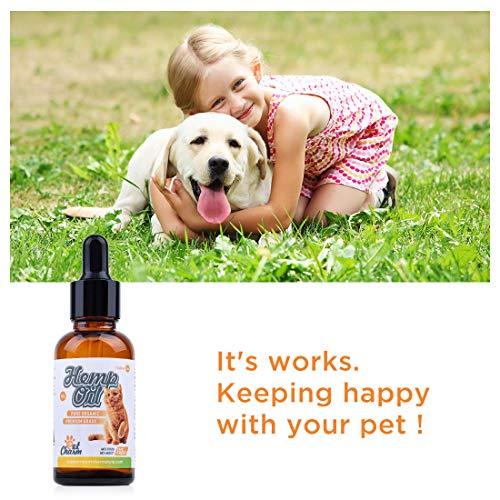 Pet Hemp Oil for Dogs Cats, Natural Organic Hemp Oil for Arthritis Pain Relief,Separation Anxiety,Supports Hip & Joint Health,Calming Relief and Better Sleep - Easily Apply to Treats (500mg)