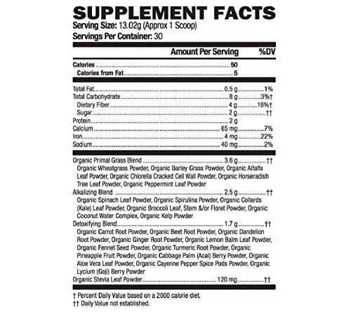 Chocolate Greens SUPERFOOD Powder - Amazing Taste - Organic Super Food Green Daily Vegetable Juice Smoothie Drink Supplement with Wheatgrass and 25+ Superfoods by Detox Organics