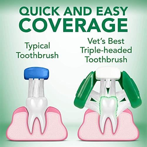 Vet's Best Dog Toothbrush and Enzymatic Toothpaste Set | Teeth Cleaning and Fresh Breath Kit with Dental Care Guide| Vet Formulated