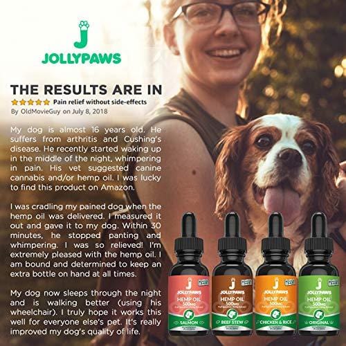 Jollypaws Hemp Oil for Cats - (500 MG) - All Natural Pain Relief, Stress & Anxiety Support, Hemp Oil - Salmon Flavor - Made in USA