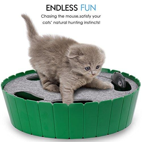 PAWABOO Pet Teasing Toy, Hide and Seek Electronic Mouse Hunt Interactive Cat Toy, Green