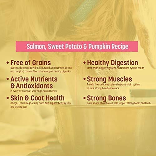 Nature's Recipe Grain Free Easy To Digest Dry Dog Food, Salmon, Sweet Potato & Pumpkin Recipe, 24 lb