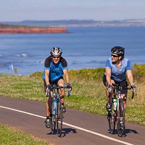 SAVADECK Carbon Road Bike, Warwinds3.0 700C Carbon Fiber Road Bicycle with Shimano SORA 18 Speed Derailleur System and Double V Brake (Blue, 54cm)