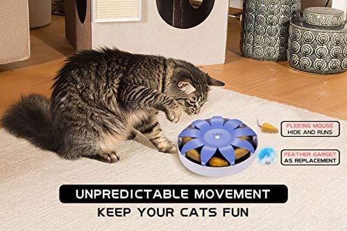 WingPet Interactive Electronic Cat Toy with Magnetic Mouse Automatic Spinning, Funny Chasing Teaser, Stimulate Cat's Senses & Hunting Instincts