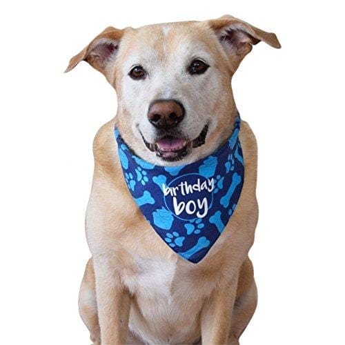 hecho Dog Birthday Bandana - Boy