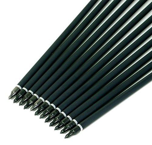 GPP Carbon 30-Inch Arrows with Field Points Replaceable Tips (12 Pack) for Recuve Bow & Compound Bow