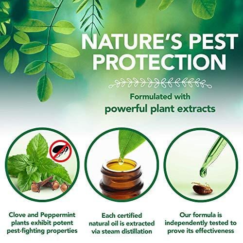 Vet's Best Flea and Tick Yard and Kennel Spray | Yard Treatment Spray Kills Mosquitoes, Fleas, and Ticks with Certified Natural Oils | Plant Safe with Ready-to-Use Hose Attachment | 32 Ounces